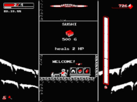 Downwell PC 3