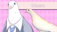 Hatoful Boyfriend - Screen 4