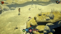 The Flame In The Flood - Switch - Grassland - JPG
