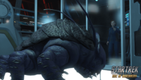 STO_AoD_Console_Screenshot_01_TillyTardigrade