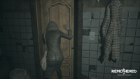 03 - Remothered TF Switch